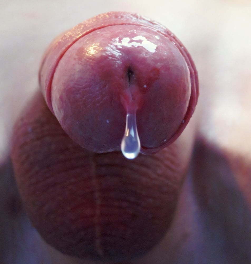 pov — 31