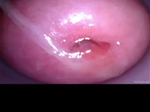 Camera in Vagina cumming, cervix throbbing, orgasm contractions, gfe raw talk, bts - My Muse Part 5